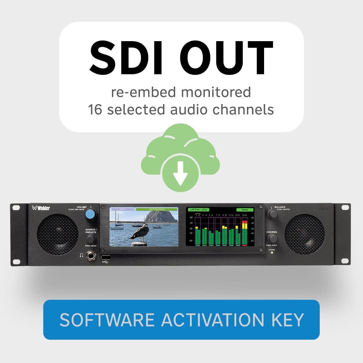OPT-SDI RE-EMBEDDING — front panel