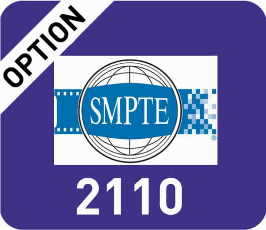 ST-2110 (option)