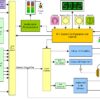 AMP1-2SDA - 2 Channel Audio Monitoring Block Diagram