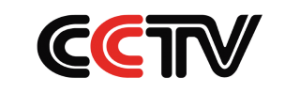 CCTV-logo